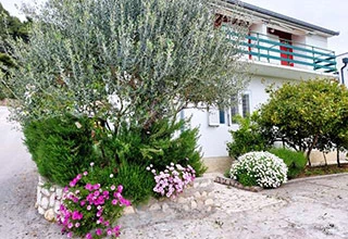 apartmani OTOK RAB